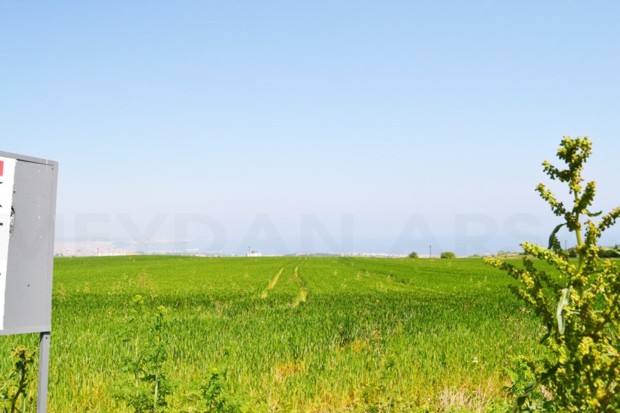Meydan-Arsa-Ofisi-12-min-900x600 Barbaros 1