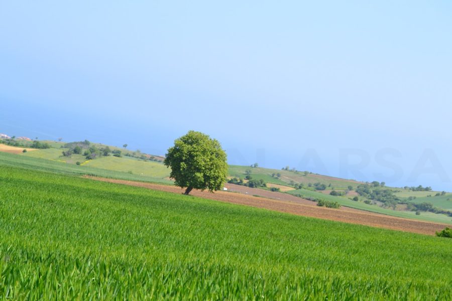 Meydan-Arsa-Ofisi-15-min-900x600 Barbaros 1