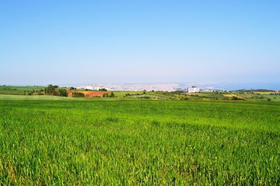 Meydan-Arsa-Ofisi-16-min-900x600 Barbaros 1