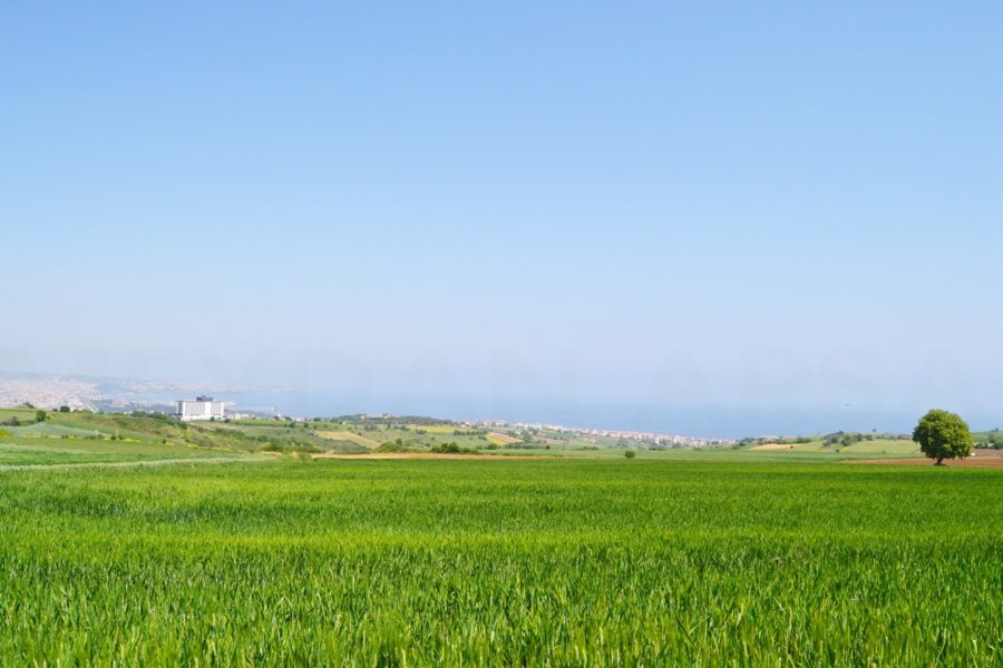 Meydan-Arsa-Ofisi-6-min-900x600 Barbaros 1