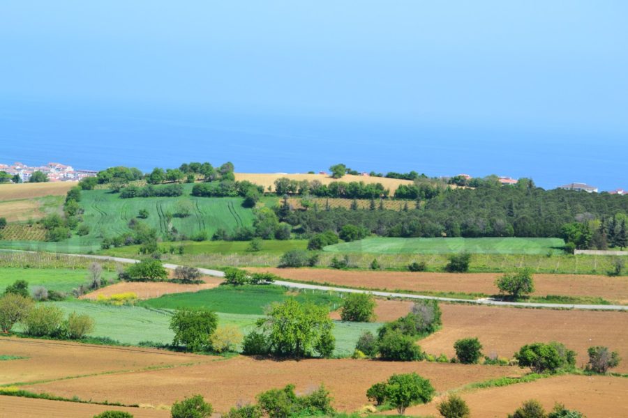 Meydan-Arsa-Ofisi-min-900x600 Barbaros 1