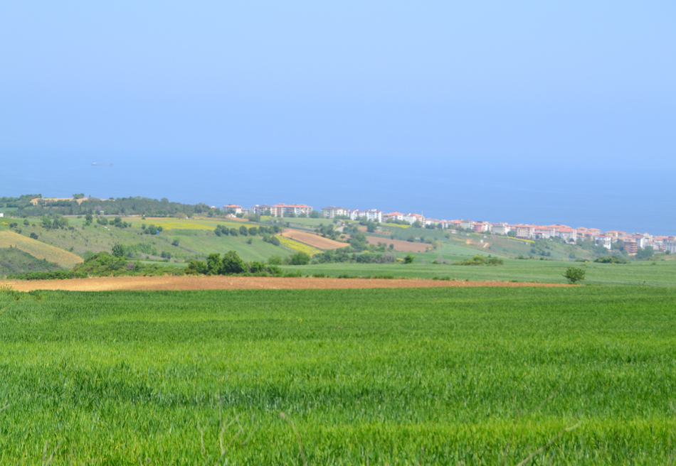 Meydan-Arsa-Ofisi-1 Arsalar