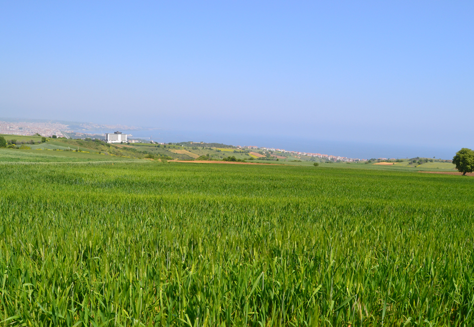 Meydan-Arsa-Ofisi-14 Satılıklarımız