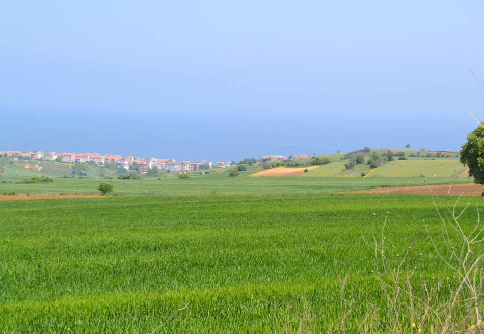 Meydan-Arsa-Ofisi-19 Satılıklarımız