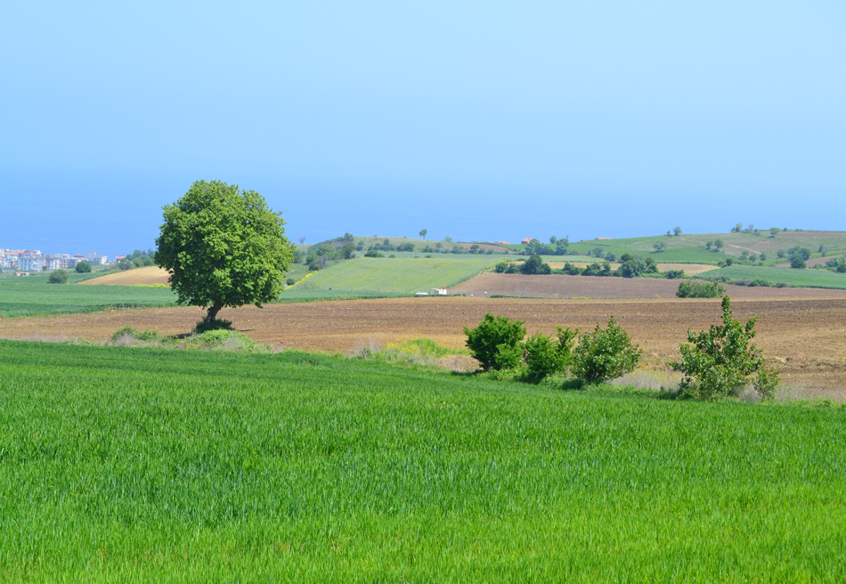 Meydan-Arsa-Ofisi-2 Satılıklarımız