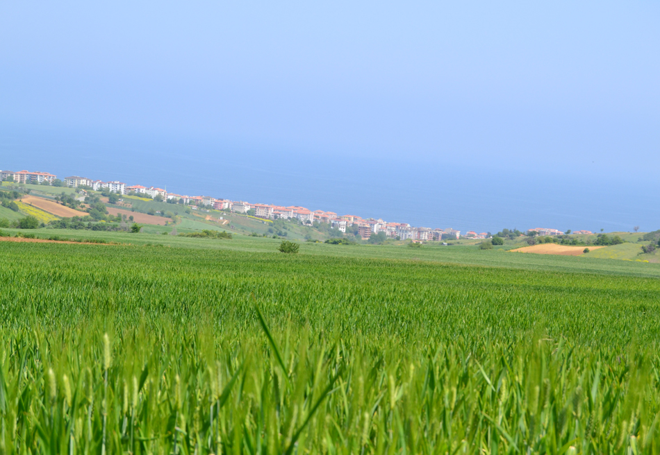 Meydan-Arsa-Ofisi-21 Satılıklarımız