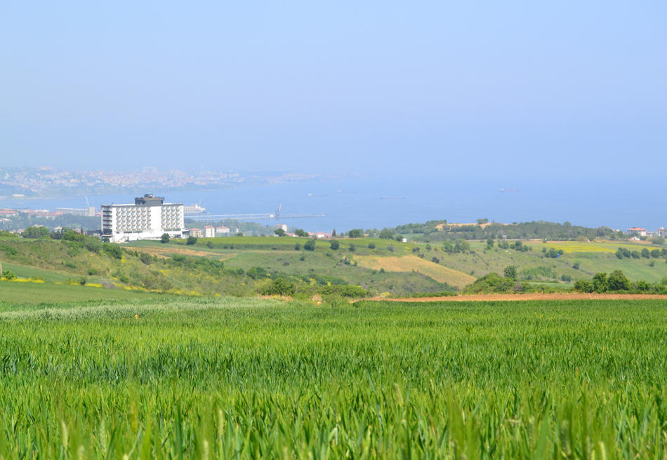 Meydan-Arsa-Ofisi-3 Arsalar
