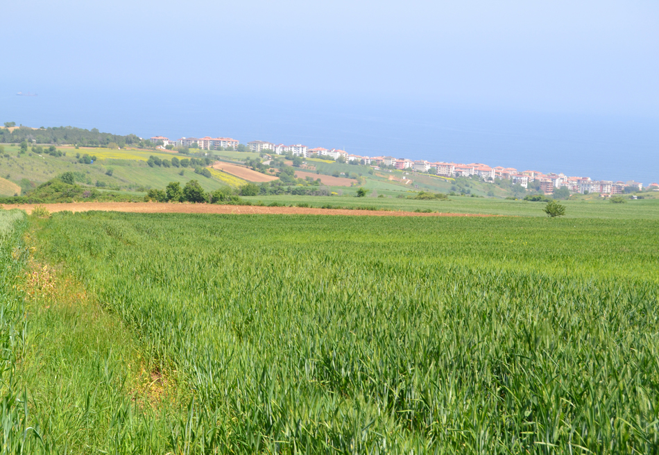 Meydan-Arsa-Ofisi-30 Satılıklarımız